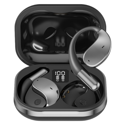 Hook-On Earbuds