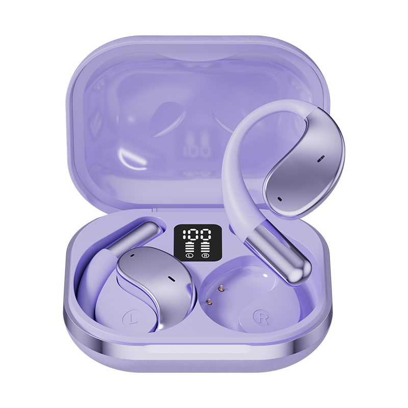 Hook-On Earbuds in Purple